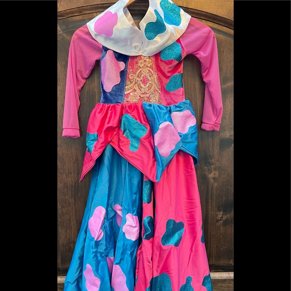 Princess costume never been worn